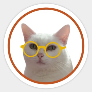 Kitten wearing glasses Sticker